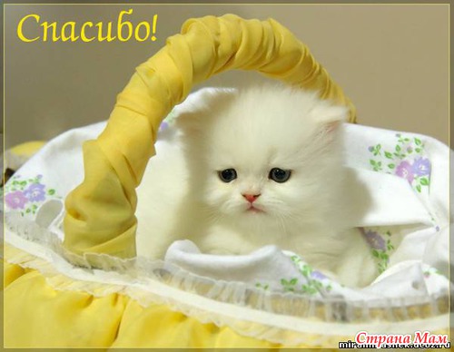 Подарок на ДР от Светули!!!
