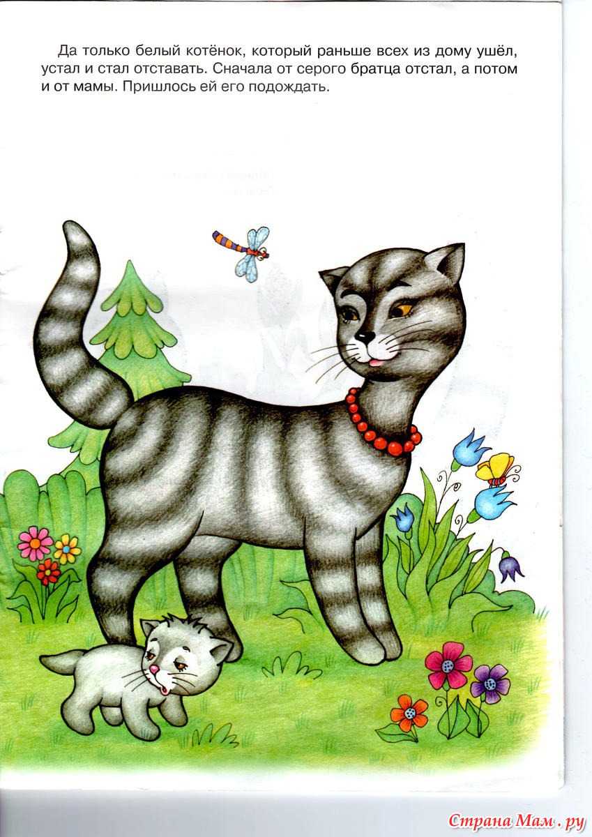 Котик сказка читать. Сказка про котенка. Сказки для маленьких кошечек. Сказка про котят для детей. Маленькая сказка про котенка.