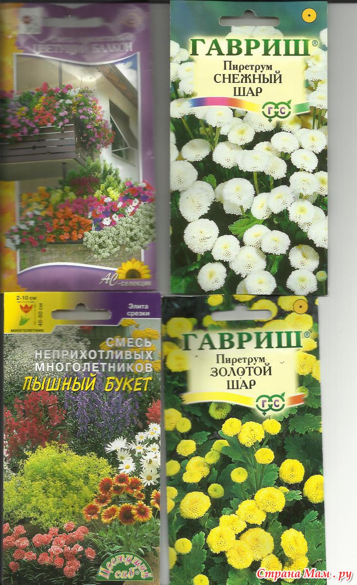 Фото Семян Комнатных Растений