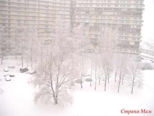 Лыжня напоследок