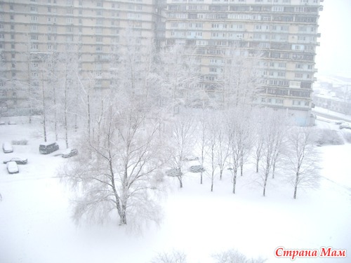 Лыжня напоследок