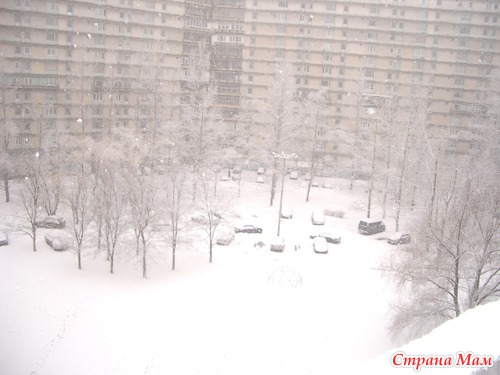 Лыжня напоследок