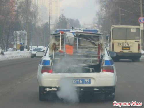Невезуха или интересно, но факт