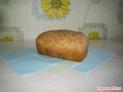 Чего я натворила