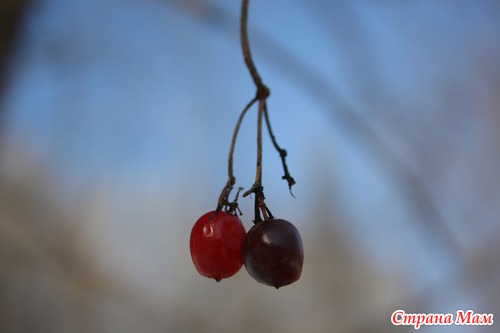 Весеннее настроение:)