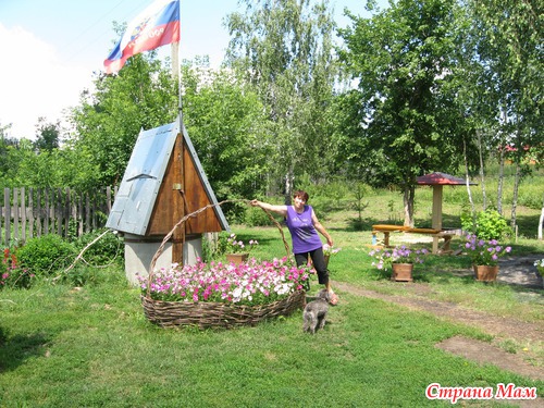 Корзина с петуниями.