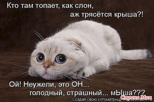 УЛЫБНИТЕСЬ!!!