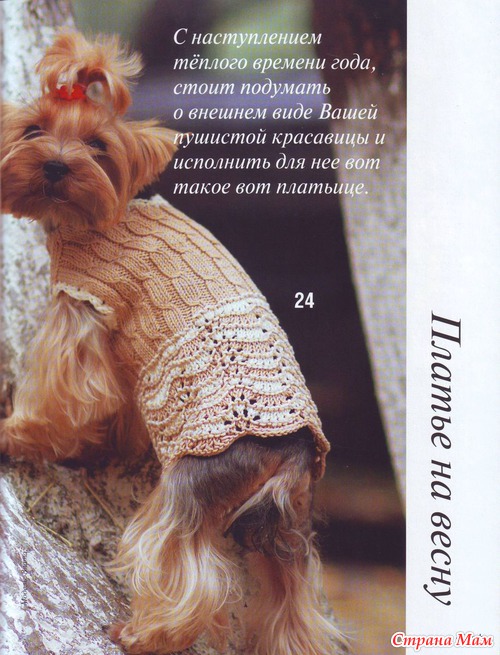 Sandra № 4 2012