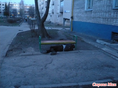 Экскурсия по Чебоксарам! (столько фоток накопилось, поделюсь пожалуй с вами впечатлениями)