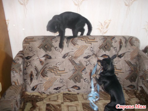 Детские забавы