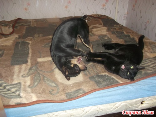 Детские забавы