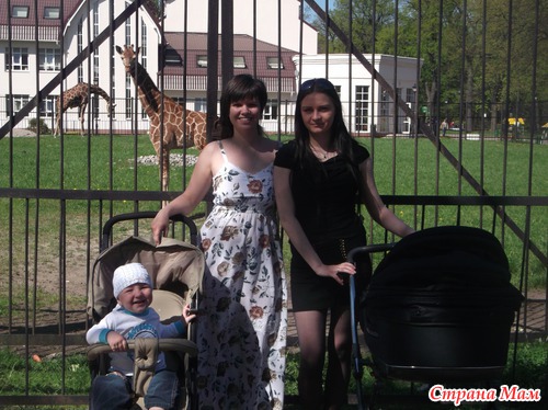 Поход в зоопарк