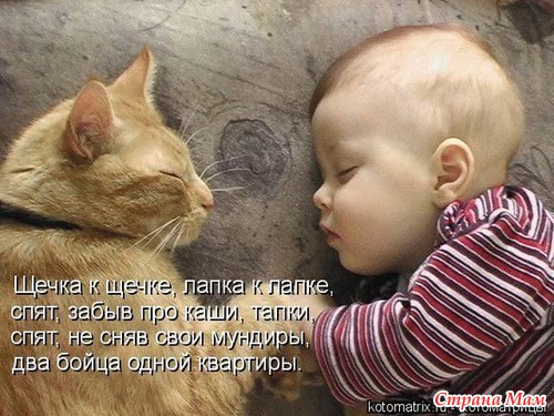 Дети и домашние животные