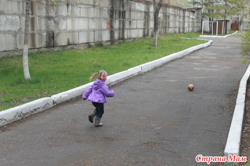 Обо всем по чуть чуть