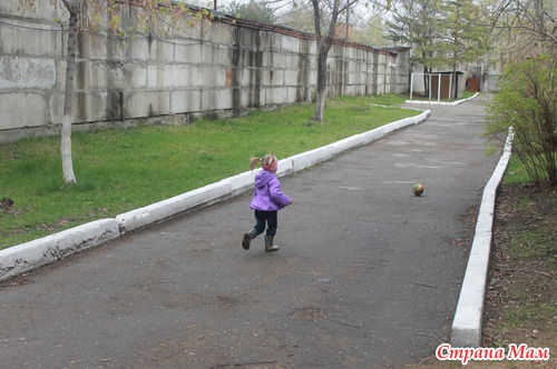 Обо всем по чуть чуть