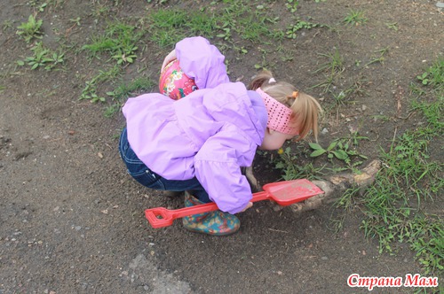 Обо всем по чуть чуть