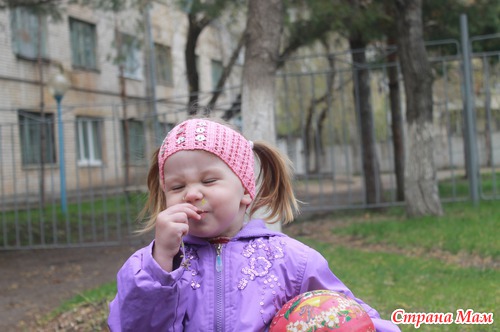 Обо всем по чуть чуть