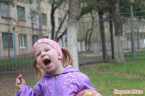 Обо всем по чуть чуть