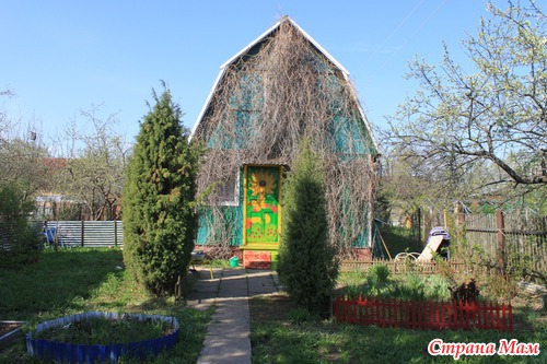 Веселые краски на даче!