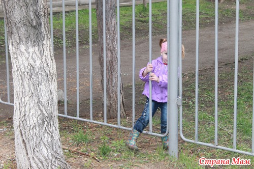 Обо всем по чуть чуть