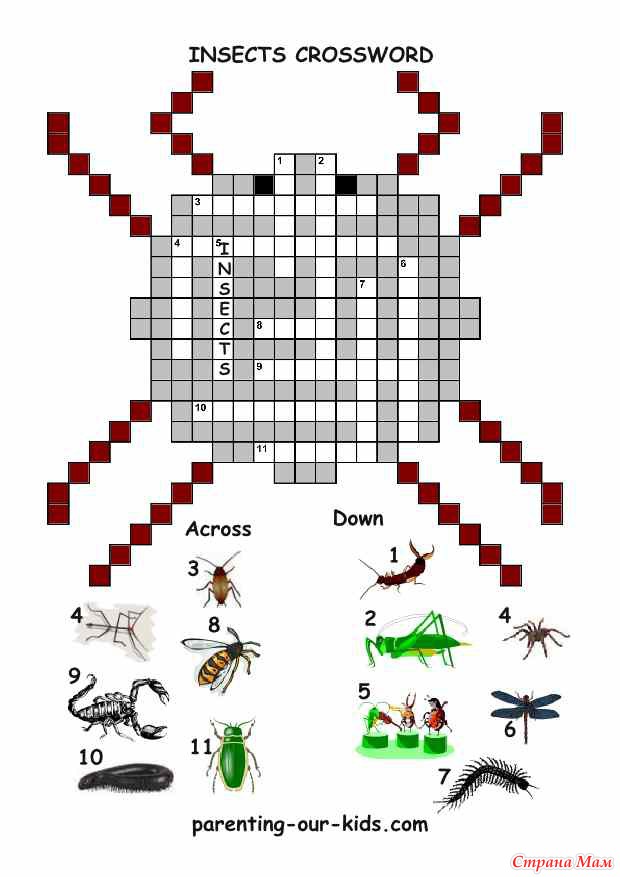Кроссворд насекомые. Кроссворд по теме насекомые. Кроссворд на тему насекомые. Кроссворд насекомые для дошкольников. Кроссворд про насекомых для детей.