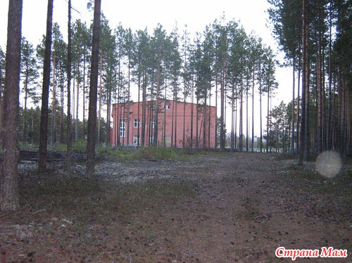 Приглашаю на вечернюю прогулку