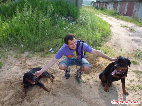 Хочу дружить.