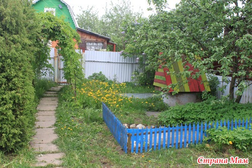 Веселые краски на даче-2!