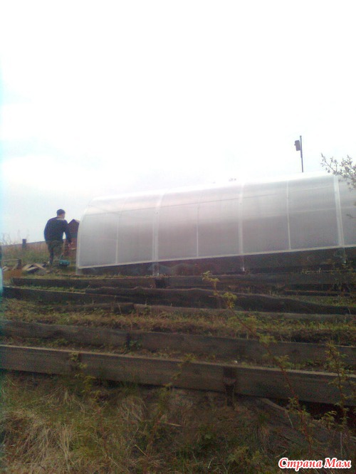 Неделя на даче-фотоотчёт.