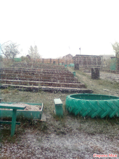 Неделя на даче-фотоотчёт.