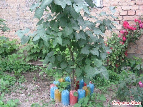 Мои дачные украшательства