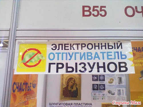 Рисунки с выставки