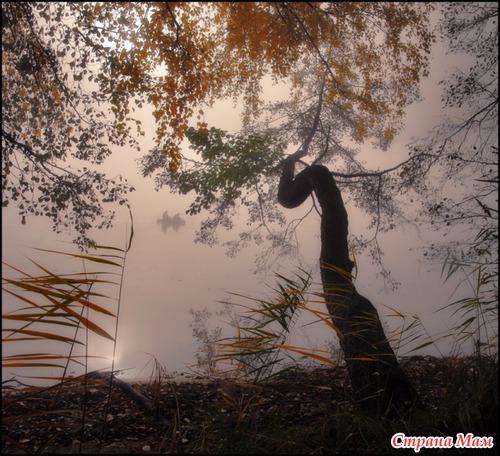 Пейзажи в фотографиях Д. Коржонова