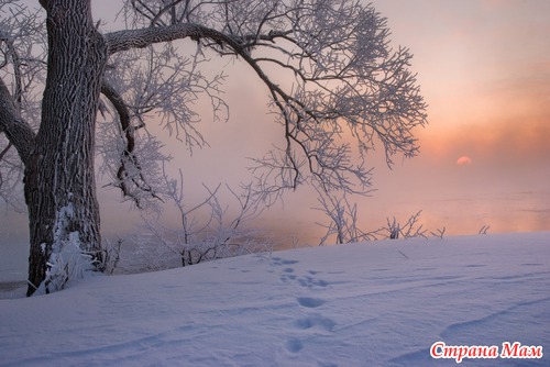 Пейзажи в фотографиях Д. Коржонова