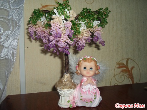 Моя глициния