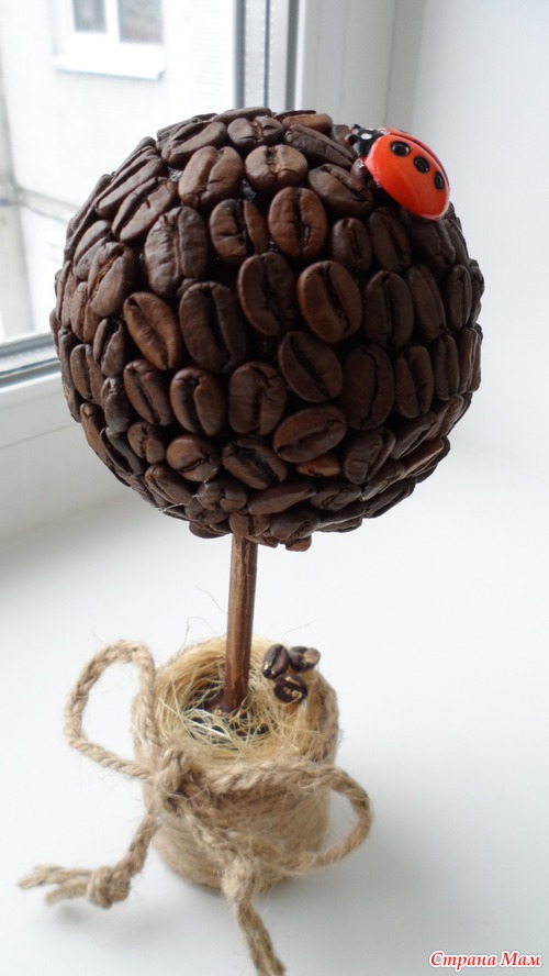 Кофейное деревце