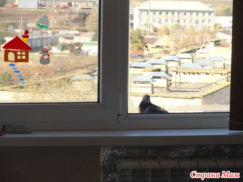 Страшная авария на Ставрополье.