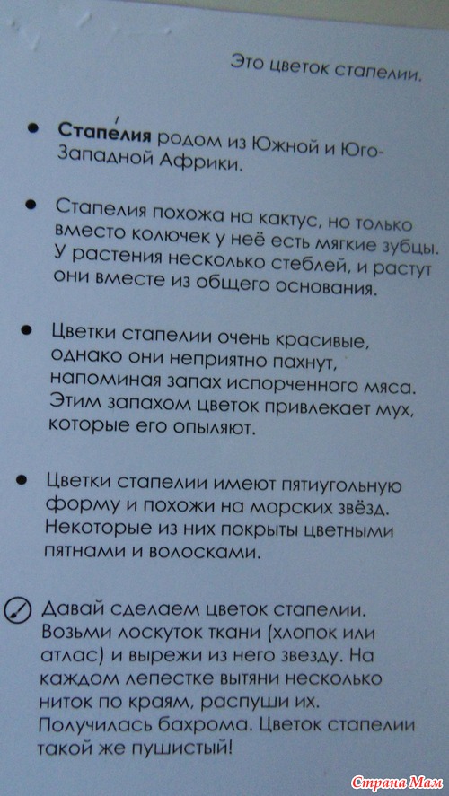 Вспомнилось лето