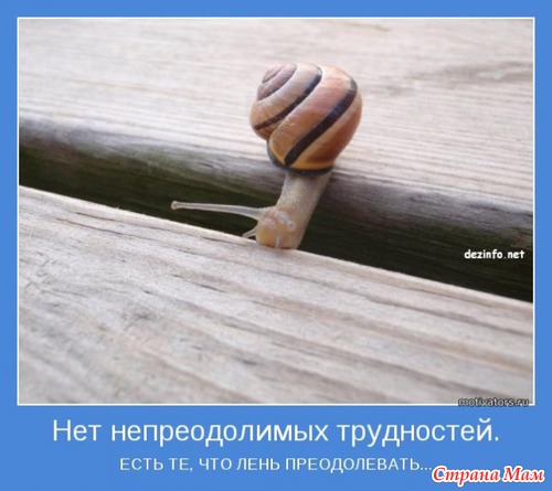 Мотиваторы - 3
