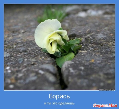 Мотиваторы - 3