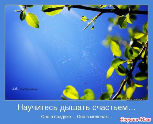 Мотиваторы - 3