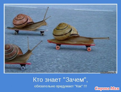 Мотиваторы - 3