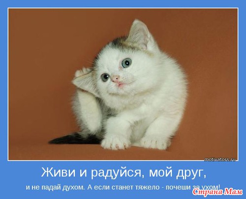 Мотиваторы - 3