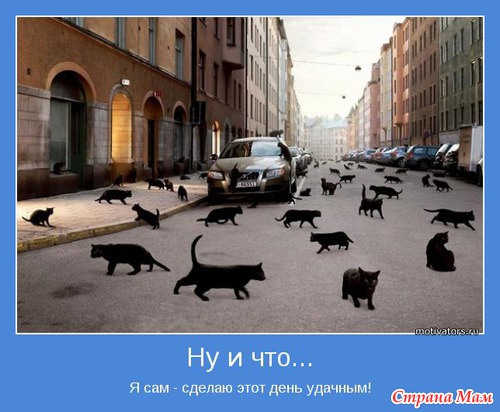 Мотиваторы - 3