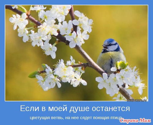 Мотиваторы - 3