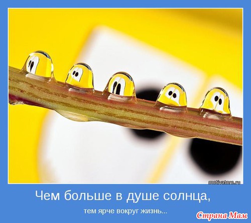 Мотиваторы - 3