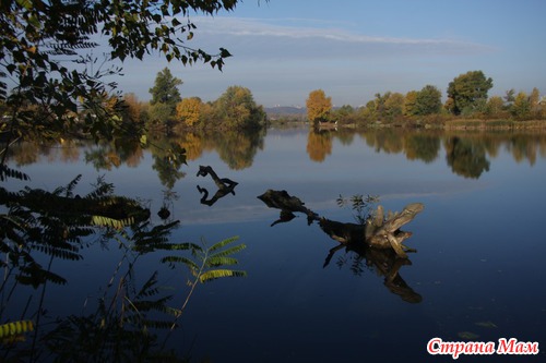 Осеннее утро в лесу
