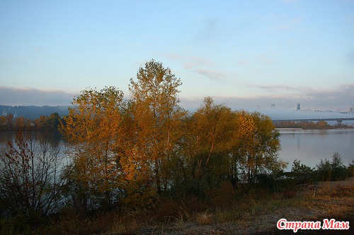 Осеннее утро в лесу