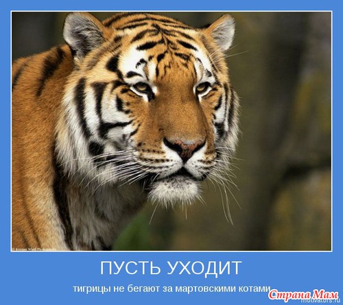 Мотиваторы - 4