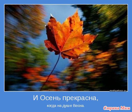 Мотиваторы - 4